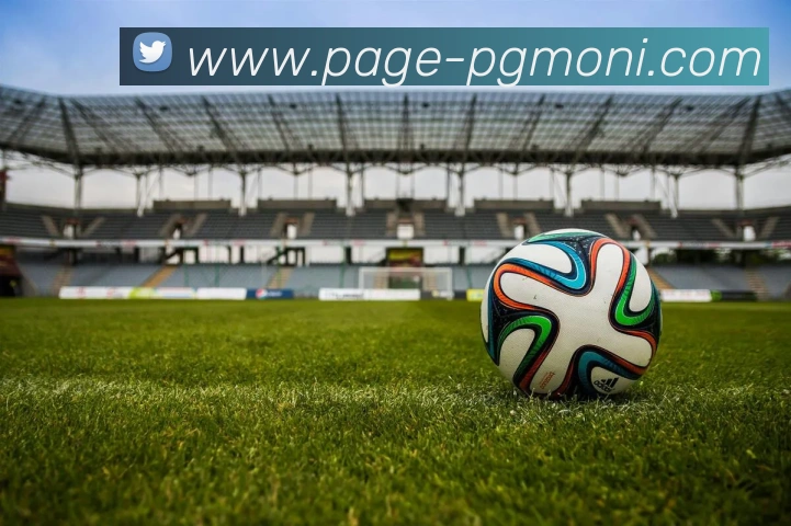 pg游戏试玩平台生态图